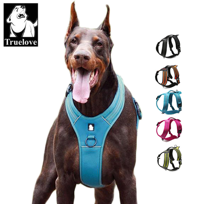 สายรัดอกสุนัขแบบสะท้อนแสง True - Outdoor Adventure Xl บทวิจารณ์และราคา